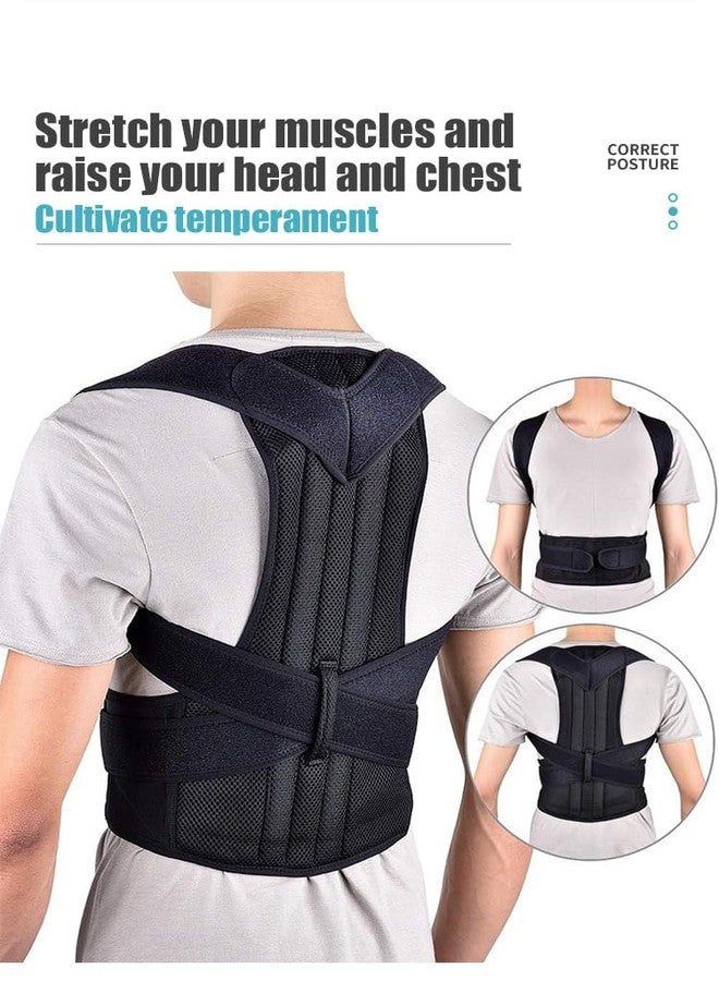 Angeer® Posture Correction Belt with Back & Abdomen Support for Men & Women Scoliosis & Shoulder Alignment - L - Image 3