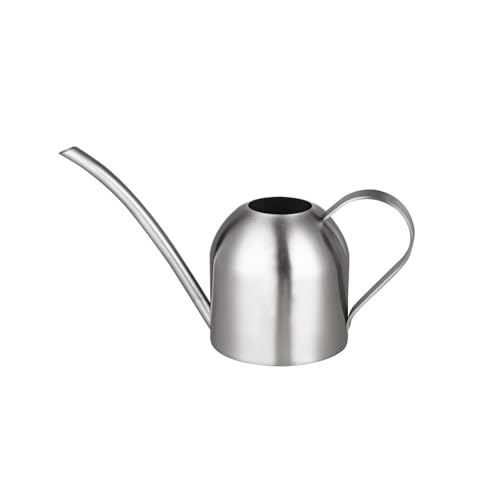 IMEEA Small Watering Can for Indoor Plants Stainless Steel Bonsai Watering can Mini Metal 15oz450ml