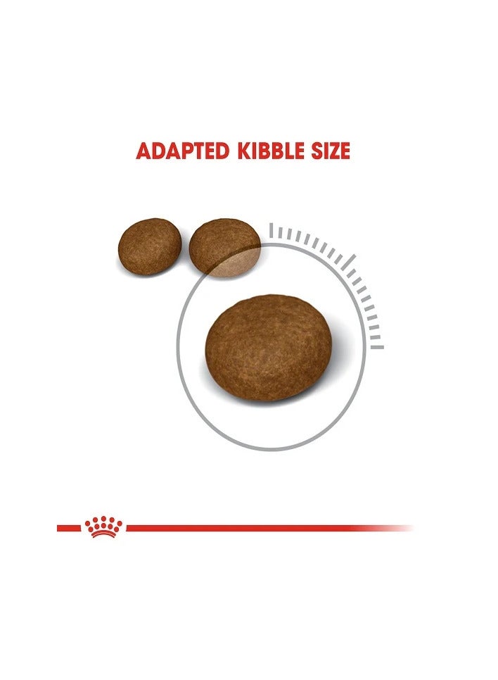 Royal Canin Hair & Skin Care Dry Cat Food,4kg - Image 3