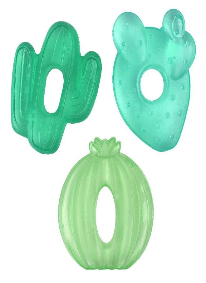 Itzy Ritzy - Itzy Ritzy Water-Filled Teethers; Set of 3 Coordinating Cactus Water Teethers; Cutie Coolers are Textured On Both Sides to Massage Sore Gums; Can Be Chilled in Refrigerator; Set of 3 Green Cacti - Image 1