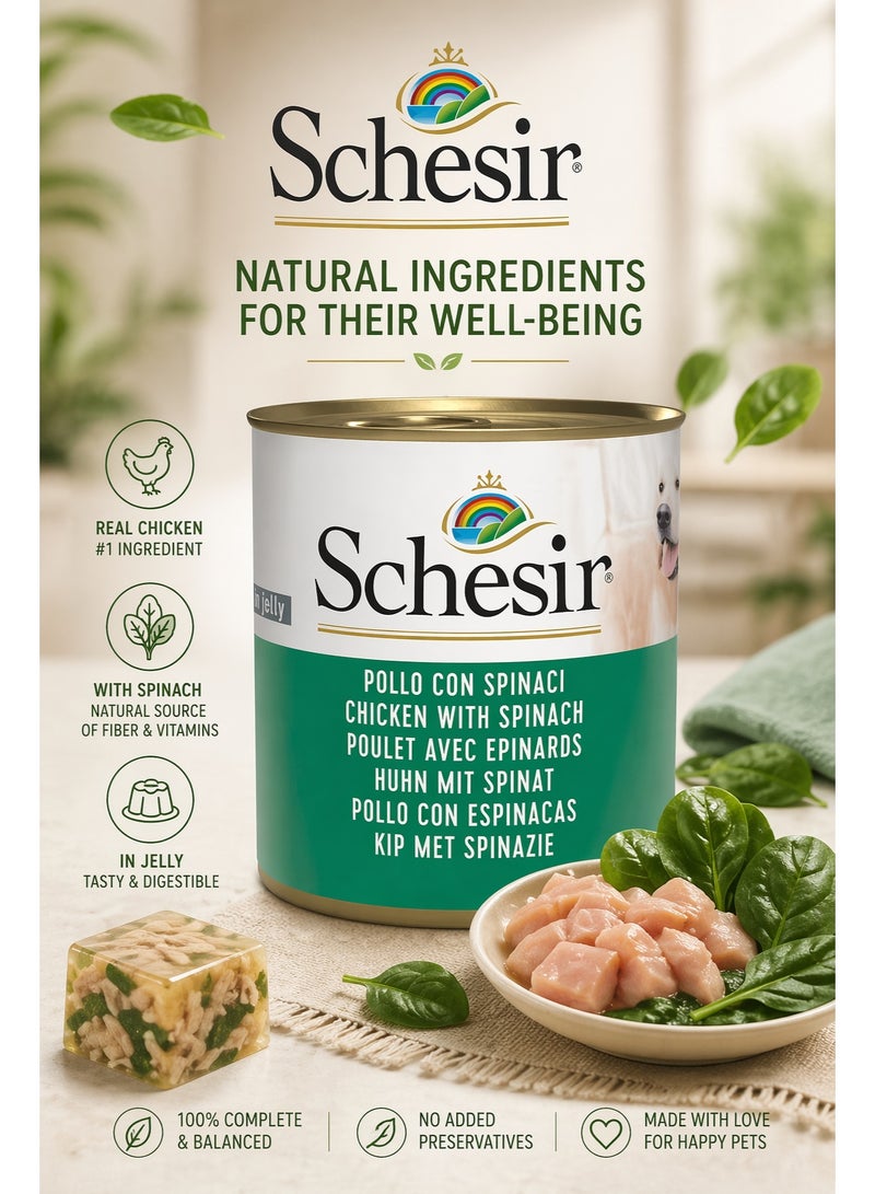 Adult Dog food  – Chicken Fillets with Spinach in Jelly – 100% Natural Ingredients – 285g Can