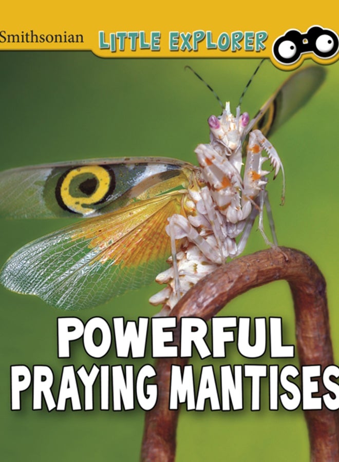 Powerful Praying Mantises
