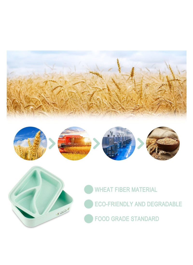 Bento Lunch Box for Adults, Leakproof Boxes, 1100ML with Utensils, Wheat Straw - Meal Prep Containers Portion Control, Microwave & Dishwasher Safe, BPA Free (Green