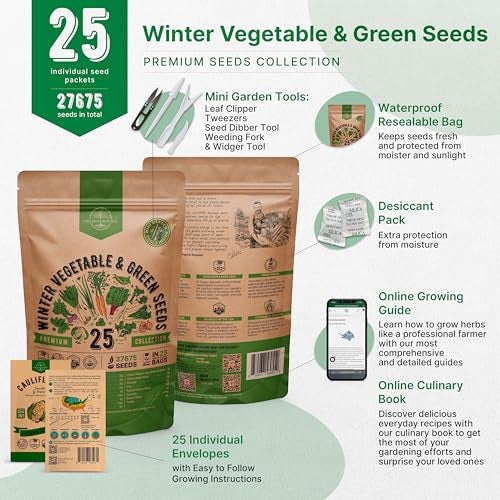 Organo Republic 25 Winter Vegetable & Green Seeds Variety Pack for Outdoors & Indoor Home Gardening 27670+ Non-GMO Heirloom Seeds: Broccoli Beet Carrot Collard Lettuce Radish Spinach Pea Kohlrabi - Image 2