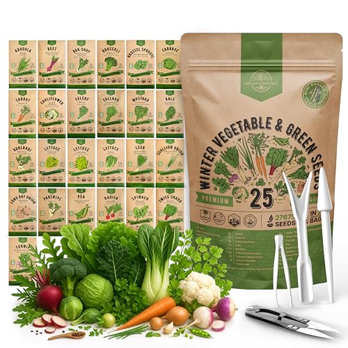 Organo Republic 25 Winter Vegetable & Green Seeds Variety Pack for Outdoors & Indoor Home Gardening 27670+ Non-GMO Heirloom Seeds: Broccoli Beet Carrot Collard Lettuce Radish Spinach Pea Kohlrabi - Image 1