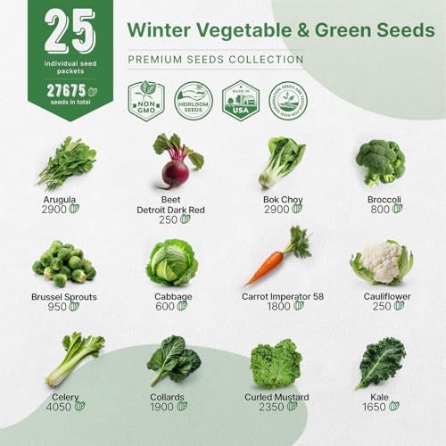 Organo Republic 25 Winter Vegetable & Green Seeds Variety Pack for Outdoors & Indoor Home Gardening 27670+ Non-GMO Heirloom Seeds: Broccoli Beet Carrot Collard Lettuce Radish Spinach Pea Kohlrabi - Image 3