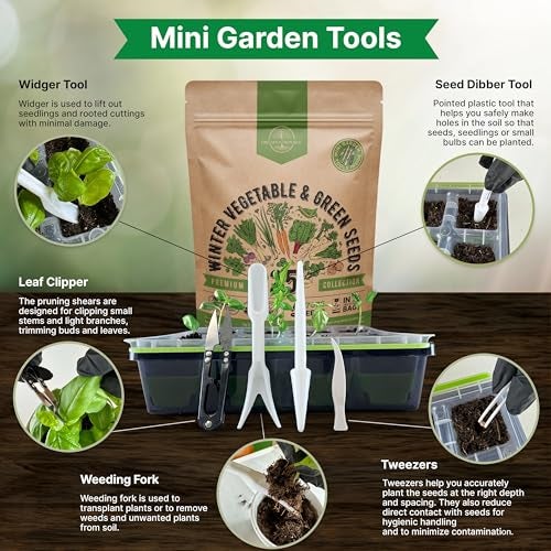 Organo Republic 25 Winter Vegetable & Green Seeds Variety Pack for Outdoors & Indoor Home Gardening 27670+ Non-GMO Heirloom Seeds: Broccoli Beet Carrot Collard Lettuce Radish Spinach Pea Kohlrabi - Image 5