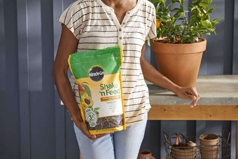 Miracle-Gro Shake 'N Feed Continuous Release Citrus, Avocado and Mango Plant Food Fertilizer - Image 5