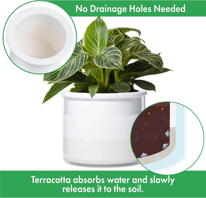 Phoenix Vine 6 Inch Self Watering Planter, Design White Terracotta Pot for Plants, Indoor Cylinder Terra Cotta Pot with Glass Vase, Set of 1, 51-B-F-1 - Image 4