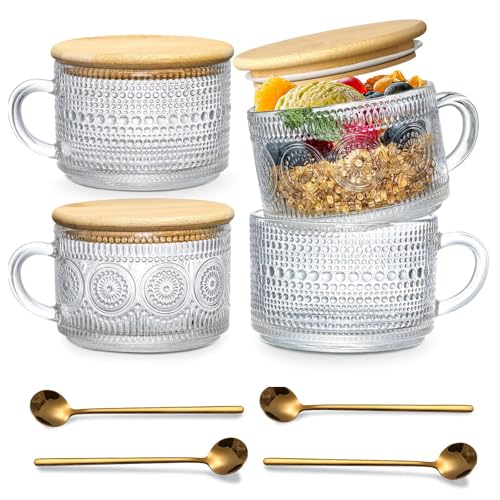 DOPUDO 4pcs Vintage Glass Coffee Mugs Cups Overnight Oats Containers Glass Cups Mugs with Bamboo Lids and Spoons  14oz Clear Embossed Glass Cups Cute Iced Coffee Glasses Gifts for women