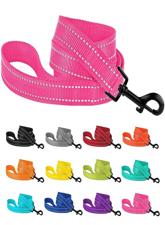 CollarDirect Nylon Dog Leash 5ft for Daily Outdoor Walking Running Training Heavy Duty Reflective Pet Leashes for Large, Medium & Small Dogs (S, Pink) - Image 1