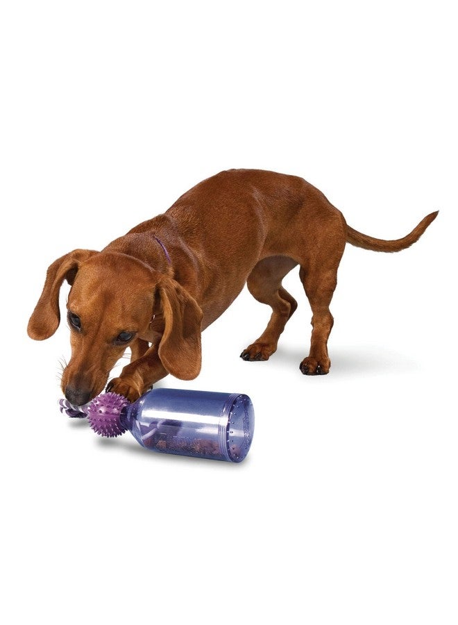 بيت سيف لعبة تدريب الكلاب Busy Buddy Tug-A-Jug من PetSafe - وحدة تغذية بطيئة ومدربة - صغيرة - Image 1