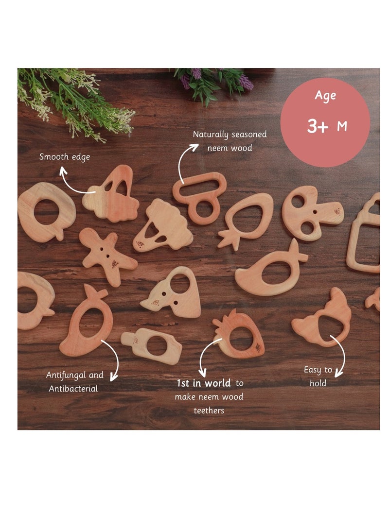 Ariro Wooden Teethers Set for Babies - Neem Cheese & Ice Cream Stick, Immunity Boosting, Anti-Bacterial, 3M+ - Image 3