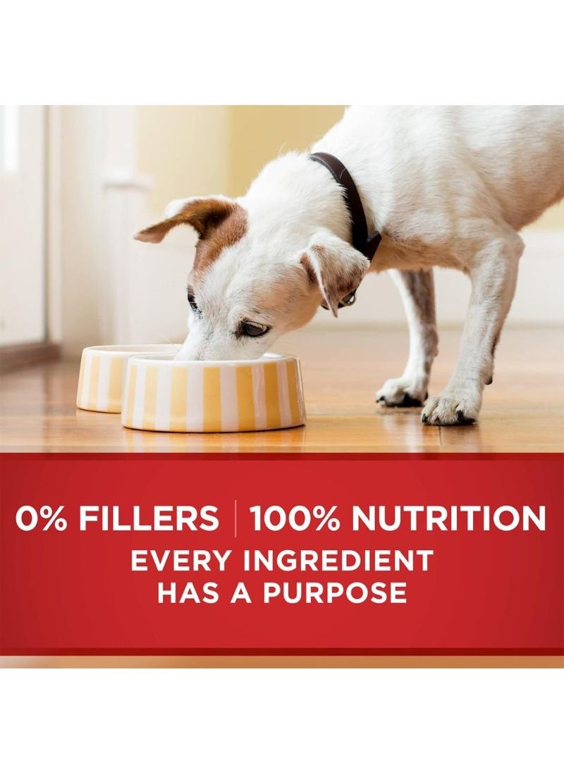 Purina ONE - Classic Ground Chicken And Brown Rice Entree Wet Dog Food 368g - Image 1