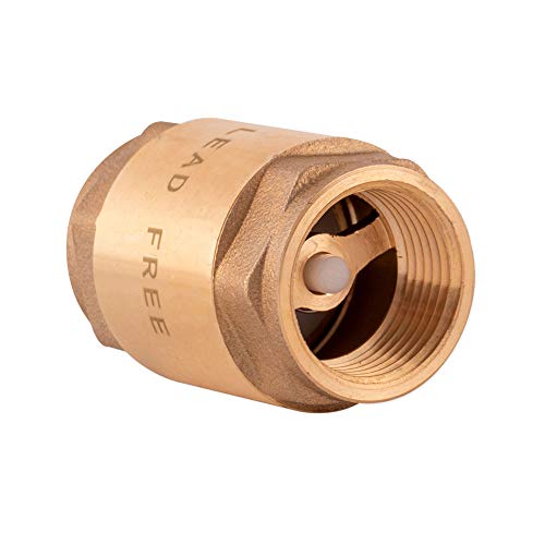 Eastman Brass In-Line Check Valve, 3/4 Inch IPS Threaded Connection, Stainless Steel Spring, 20403LF - Image 2