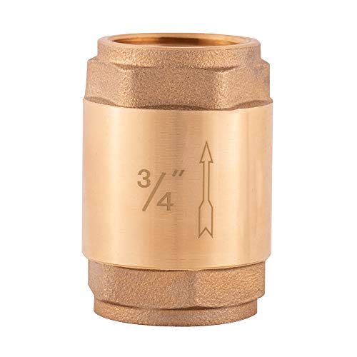 Eastman Brass In-Line Check Valve, 3/4 Inch IPS Threaded Connection, Stainless Steel Spring, 20403LF - Image 4