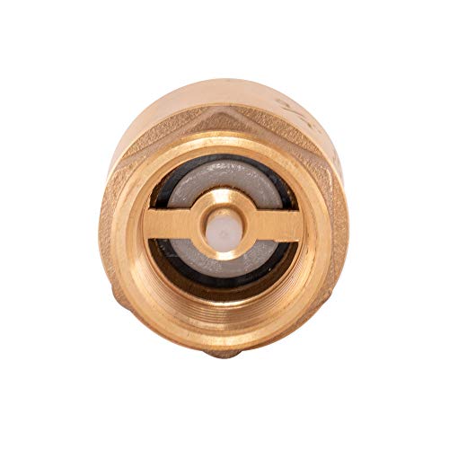 Eastman Brass In-Line Check Valve, 3/4 Inch IPS Threaded Connection, Stainless Steel Spring, 20403LF - Image 3