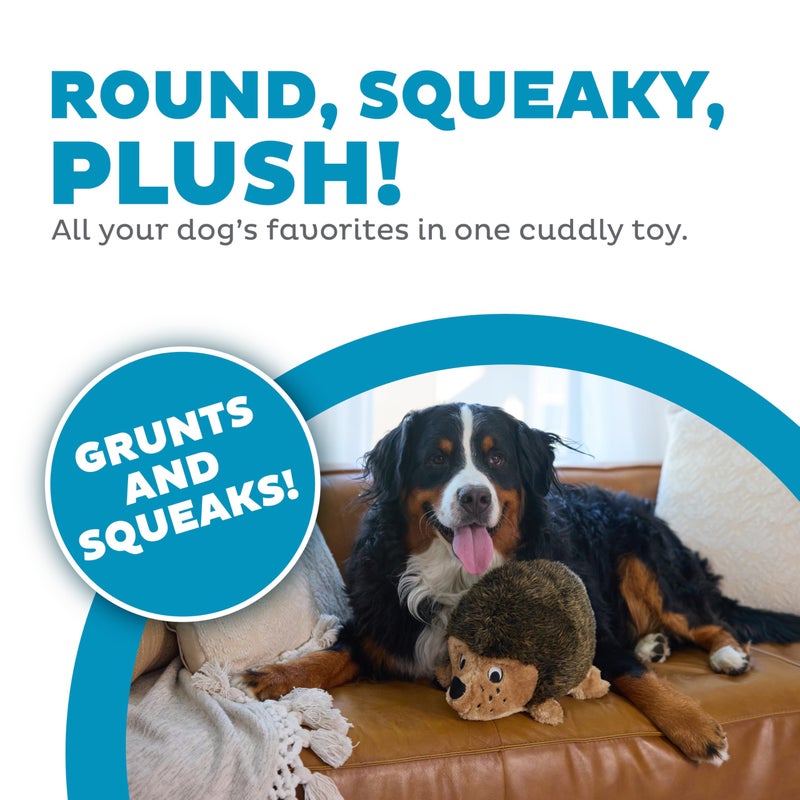 Outward Hound, Hedgehogz Plush Dog Toy, XL - Image 2