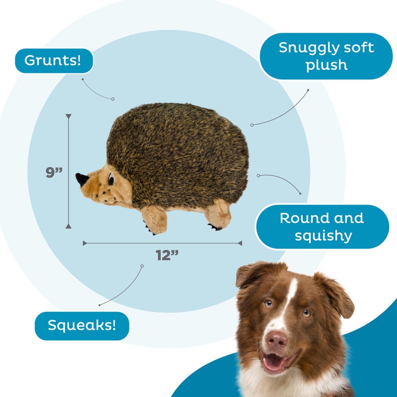 Outward Hound, Hedgehogz Plush Dog Toy, XL - Image 3