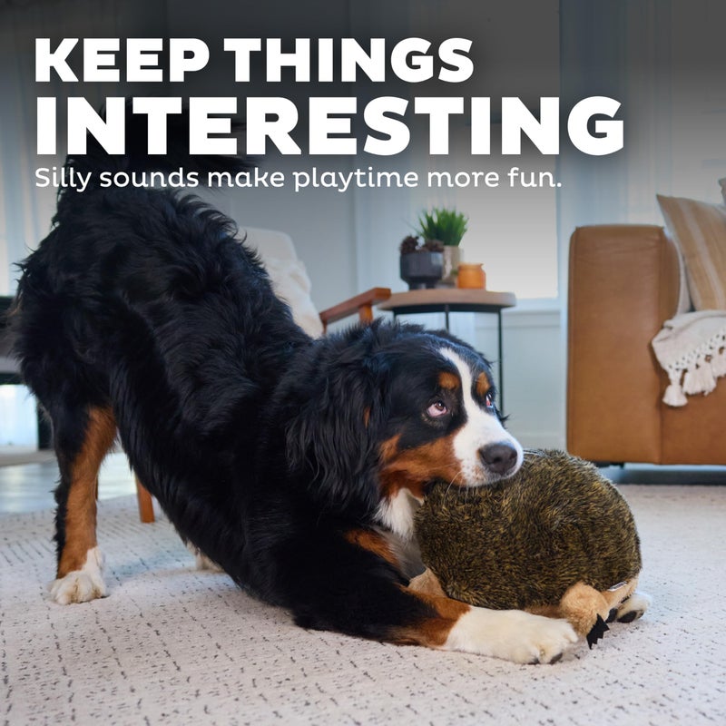 Outward Hound, Hedgehogz Plush Dog Toy, XL - Image 4