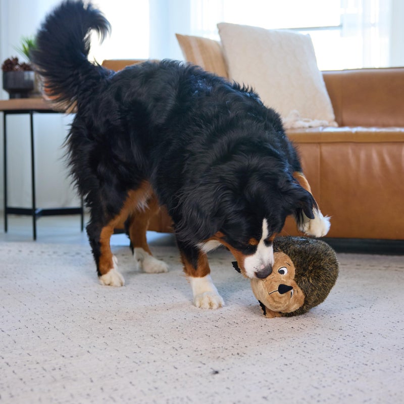 Outward Hound, Hedgehogz Plush Dog Toy, XL - Image 5