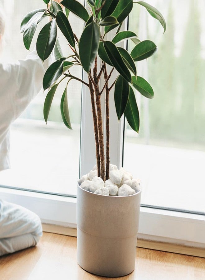 FANTIAN صخور فانتيان البيضاء غير اللامعة، وزن 5 أرطال، مناسبة للنباتات، حصى كبيرة الحجم (2-3 بوصات) للنباتات الداخلية، أحجار نهرية زخرفية للنباتات العصارية، تنسيق الحدائق، المزهريات، الأعمال اليدوية والحدائق - Image 4