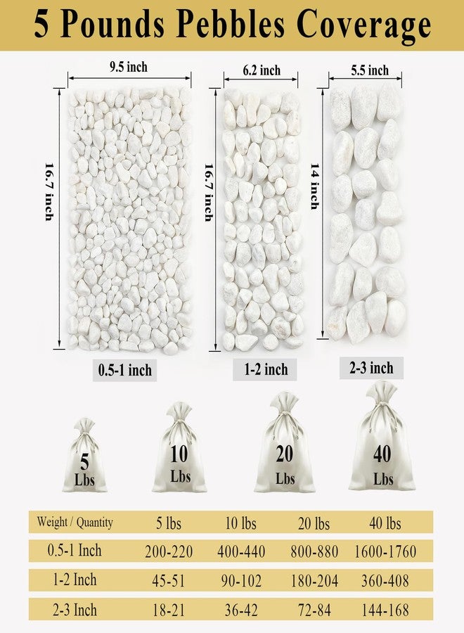FANTIAN صخور فانتيان البيضاء غير اللامعة، وزن 5 أرطال، مناسبة للنباتات، حصى كبيرة الحجم (2-3 بوصات) للنباتات الداخلية، أحجار نهرية زخرفية للنباتات العصارية، تنسيق الحدائق، المزهريات، الأعمال اليدوية والحدائق - Image 3