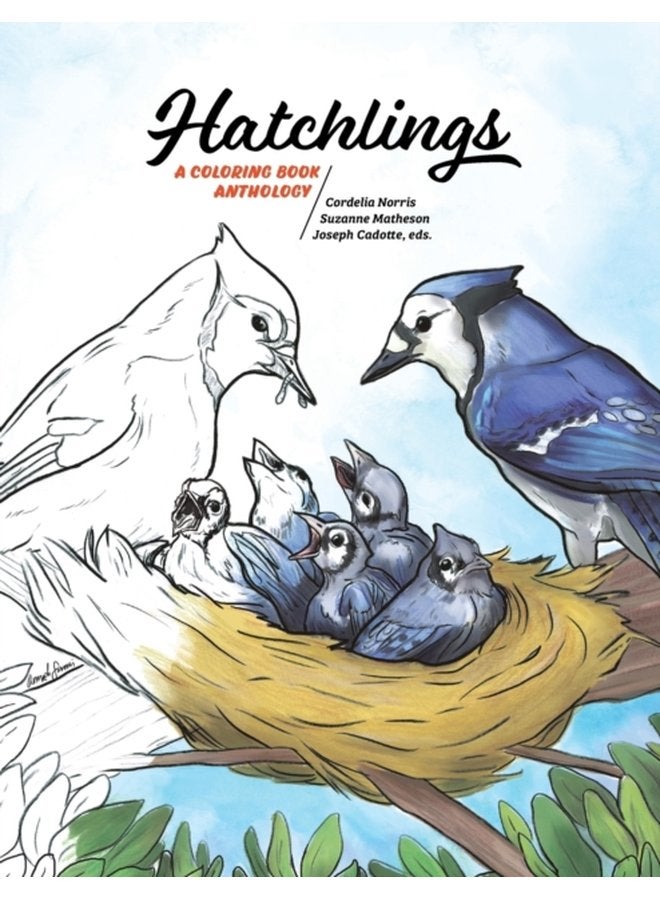 Hatchlings A Coloring Book Anthology 1 - Paperback