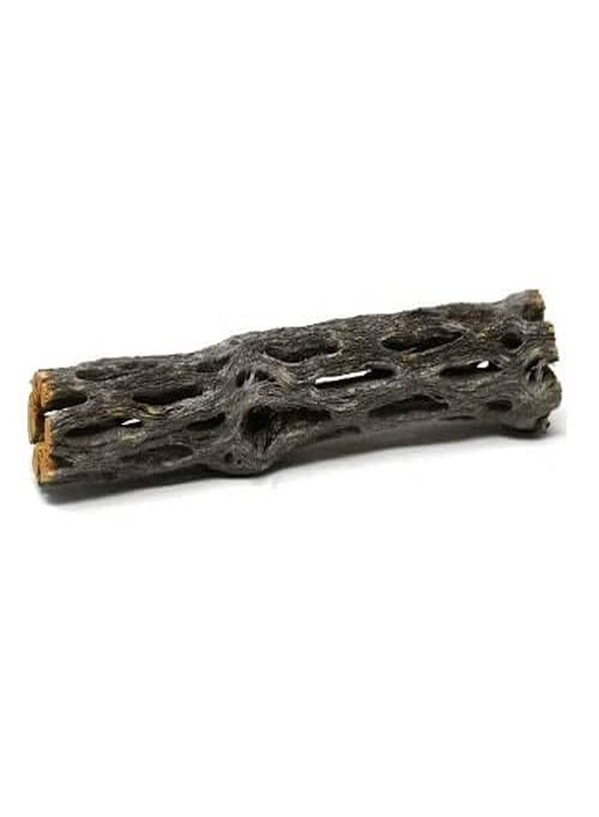 Natural Cholla Wood for Aquarium (1 Piece, 6 Inch) - Image 1