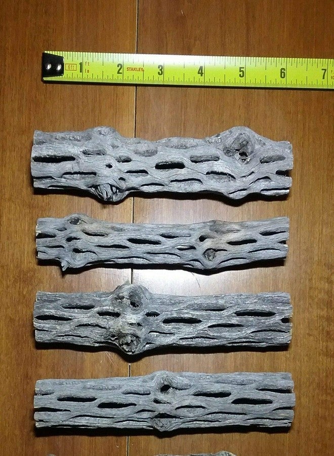 Natural Cholla Wood for Aquarium (1 Piece, 6 Inch) - Image 2