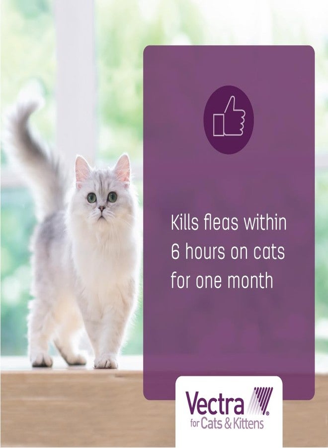 Vectra for Cats & Kittens Flea Treatment & Prevention for Small Cats (2-9 lbs.) 3-Month Supply - Image 4
