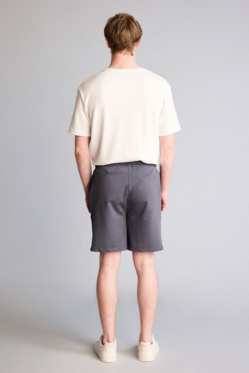 DeFacto Grey Man Regular Fit Shorts Casual - Image 5