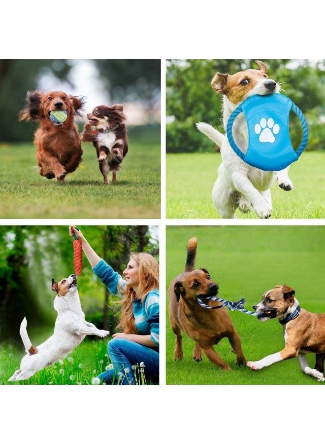 Coodipet 10 Pack Dog Chew Toys | Puppy Toys Dog Toys for Boredom | Indestructible Dog Toys with Rope Toys, Squeaky Toy | Dog Toy, Dog Teething Toys for Small & Medium Dogs - Image 4