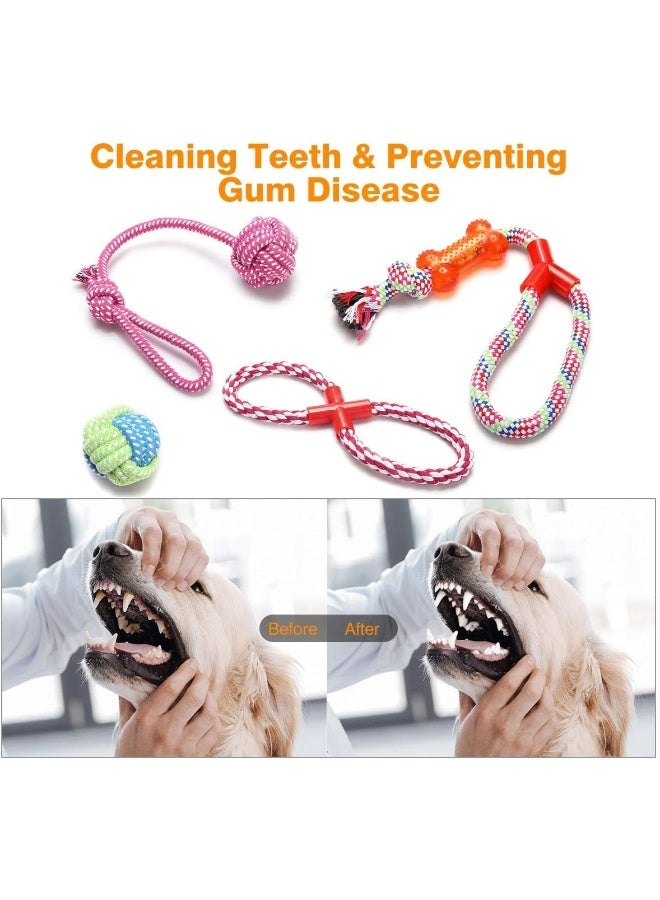 Coodipet 10 Pack Dog Chew Toys | Puppy Toys Dog Toys for Boredom | Indestructible Dog Toys with Rope Toys, Squeaky Toy | Dog Toy, Dog Teething Toys for Small & Medium Dogs - Image 3
