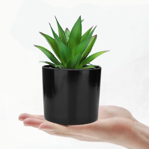 Hopewood Artificial Succulents Faux Potted Plant Decor, Small Fake Plants in Black Pot, Realistic and Lifelike for Book Shelf, Desk Decor, Home Office, Kitchen, or Bathroom Decor - Pack of 3 - Image 5