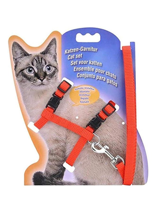 Golden Arrows Cats Lead Leash Harness Walking Chest Strap - 48 Grams