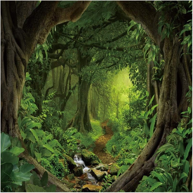 Laeacco 10x10ft Fairytale Forest Backdrop Green Trees Tropical Rainforest Natural Scenery Photography Background Creek Deep Woods Wonderland Newborn Baby Shower Children Kids Adults Portrait Photo - Image 4