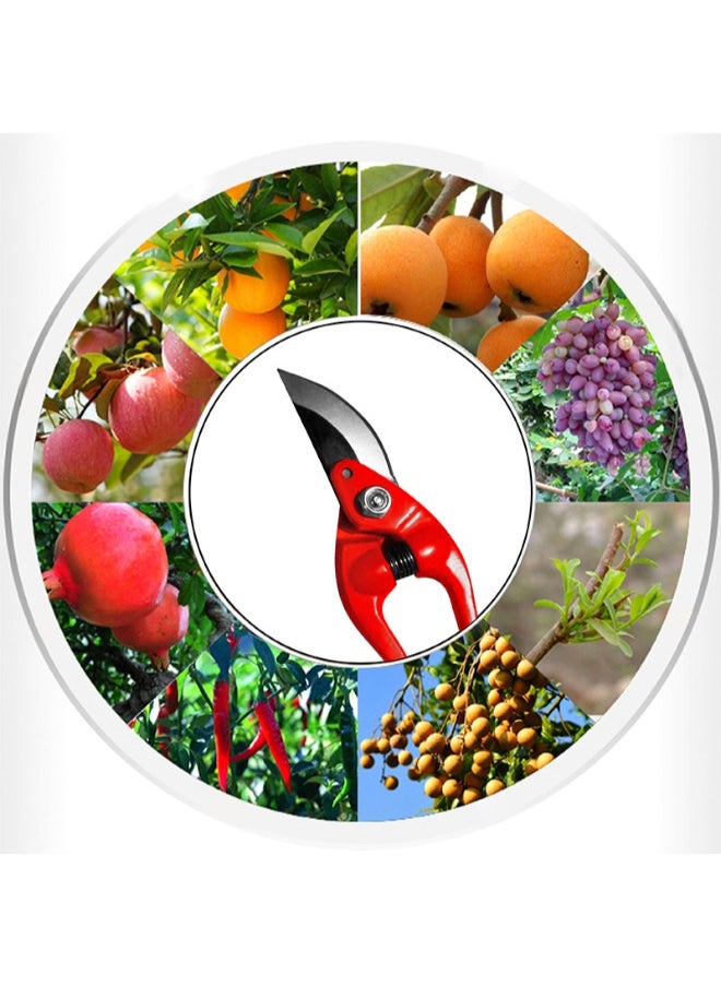 WISEUP - Pruning Shears 9" Manganese With Comfortable  Handle - Image 1