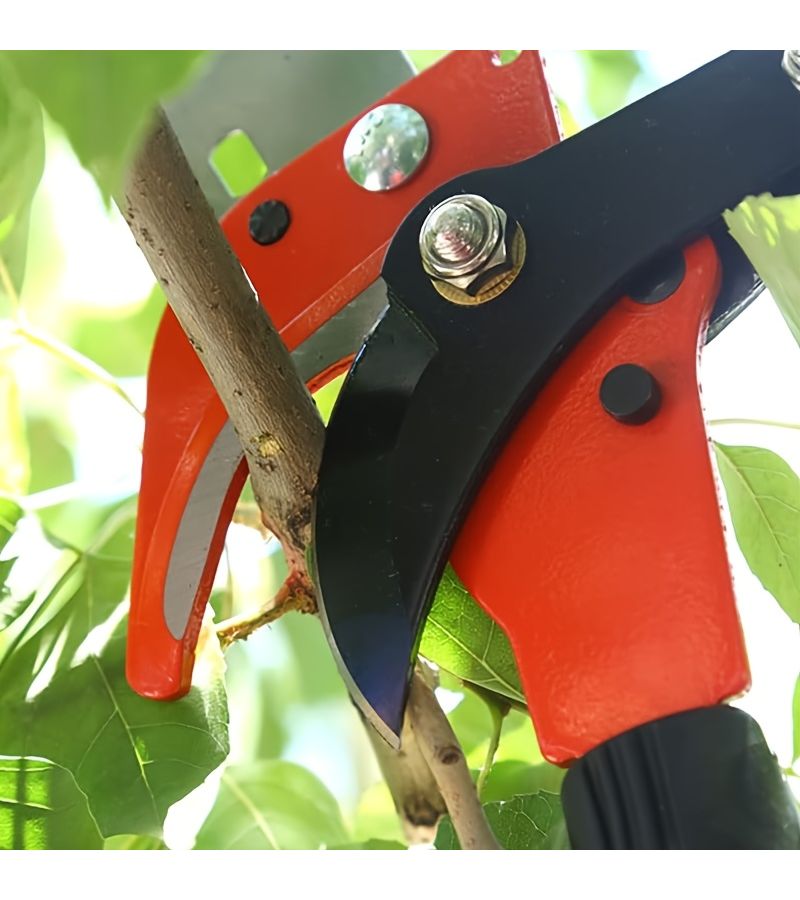 Large Capacity Double Wheel High Branch Pruner Extendable Pole for Tree Trimming - Image 4