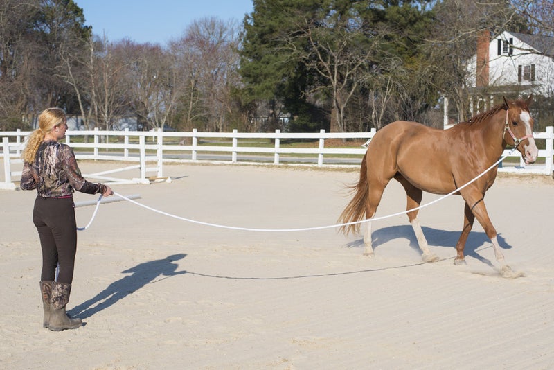 Intrepid International Horse Intrepid International Premium Horse Rope Lunge Line - Durable 1/2" Diameter, 25' Length Cotton Lunge Line with Secure Snap for Equestrian Training Excellence, White - Image 3