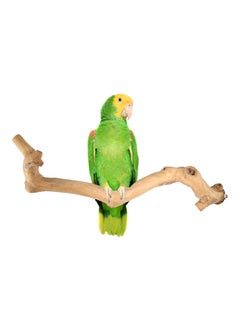 CHEWY BEAK Birds Stand Java wood perch for Large Birds  Parrots African Grey Casco cockatoo amazon Wooden Perch Natural Indonesian Wooden Tree branch Cage Accessories stick  - Image 1