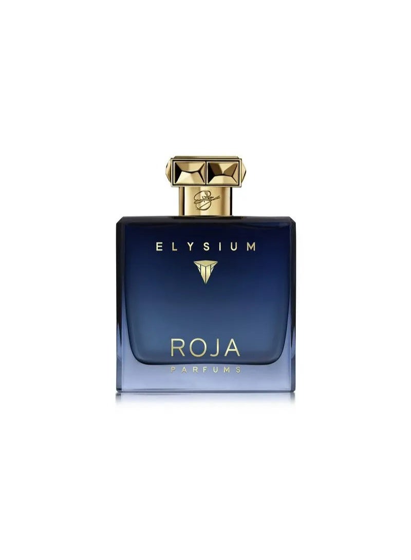 روجا للعطور إليزيوم أو دو بارفان للرجال 100 مل - Image 3