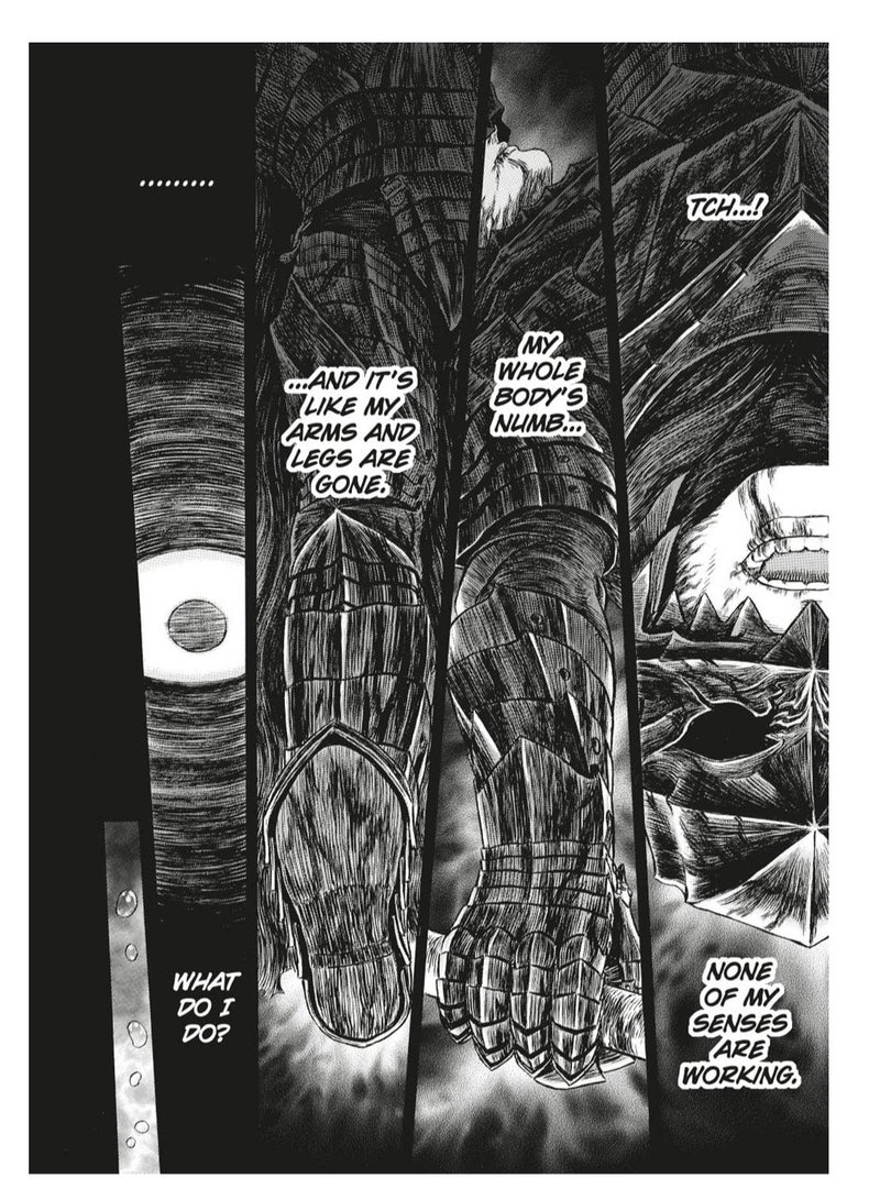 Berserk Deluxe Volume 13 - Image 2