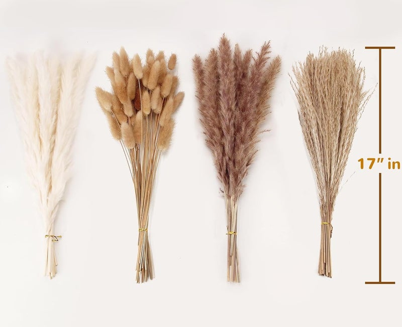 ANPROOR Dried Pampas Grass Decor, 100 PCS Pampas Grass Contains Bunny Tails Dried Flowers, Reed Grass Bouquet for Wedding Boho Flowers Home Table Decor, Rustic Farmhouse Party (White and Brown) - Image 2