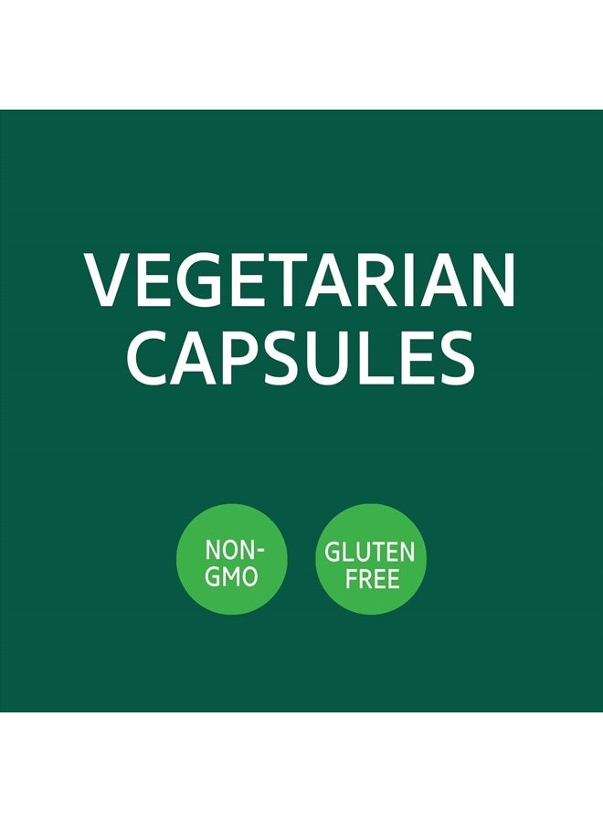 21st Century مستخلص الجنكة بيلوبا كبسولات نباتية، 200-عدد (21687) - Image 3