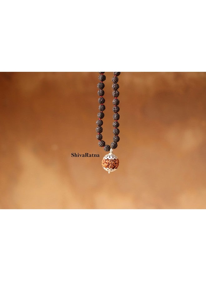 ShivaRatna ShivaRatna 3 Mukhi Nepali Rudraksha Guru Mani with 108+1 Beads of 5 Mukhi Black Rudraksha Mala (Pure Silver Cap + Lab Certified) - Image 3