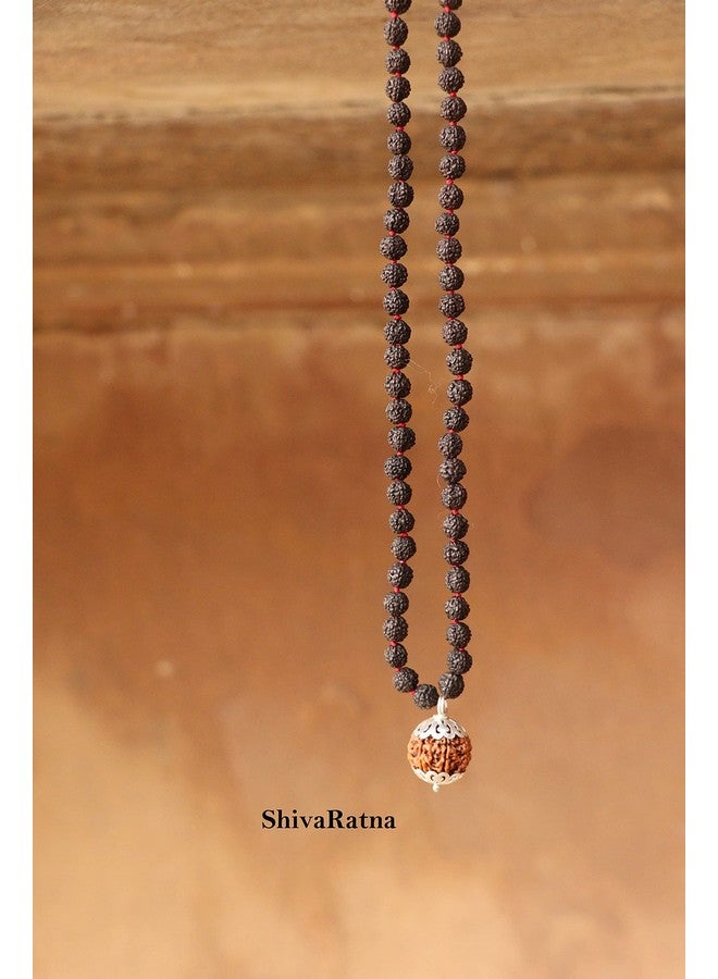 ShivaRatna ShivaRatna 3 Mukhi Nepali Rudraksha Guru Mani with 108+1 Beads of 5 Mukhi Black Rudraksha Mala (Pure Silver Cap + Lab Certified) - Image 5