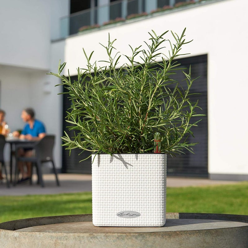Lechuza 13384 Cube Color 14 Self-Watering Planter for Indoor and Outdoor Use, 6" x 6" x5", Slate - Image 3