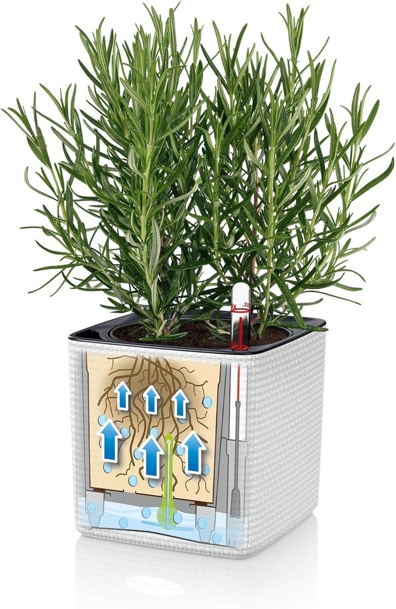Lechuza 13384 Cube Color 14 Self-Watering Planter for Indoor and Outdoor Use, 6" x 6" x5", Slate - Image 5