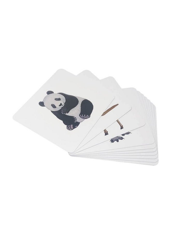 BRAINSMITH Brainsmith Quantum Flash Cards, Mammals, Farm Animals, Fruits- Educational Flashcard for Toddlers and Kids Set 2 (30 Cards) for Brain Development and Stimulation (8 Months to 8 Years)  - Image 3